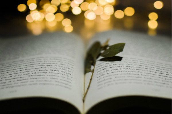 在印度的雅利安人和德国的有什么区别?