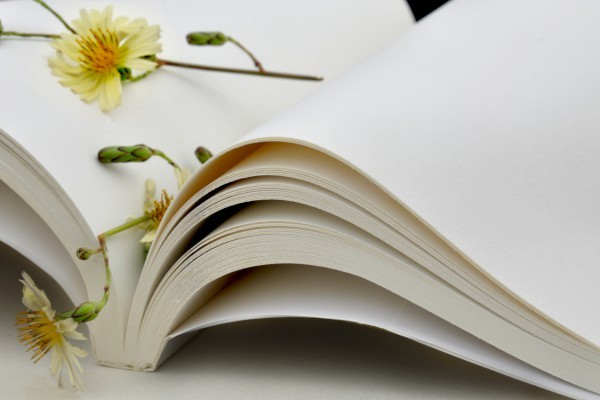 新西兰留学一年费用大概需要多少